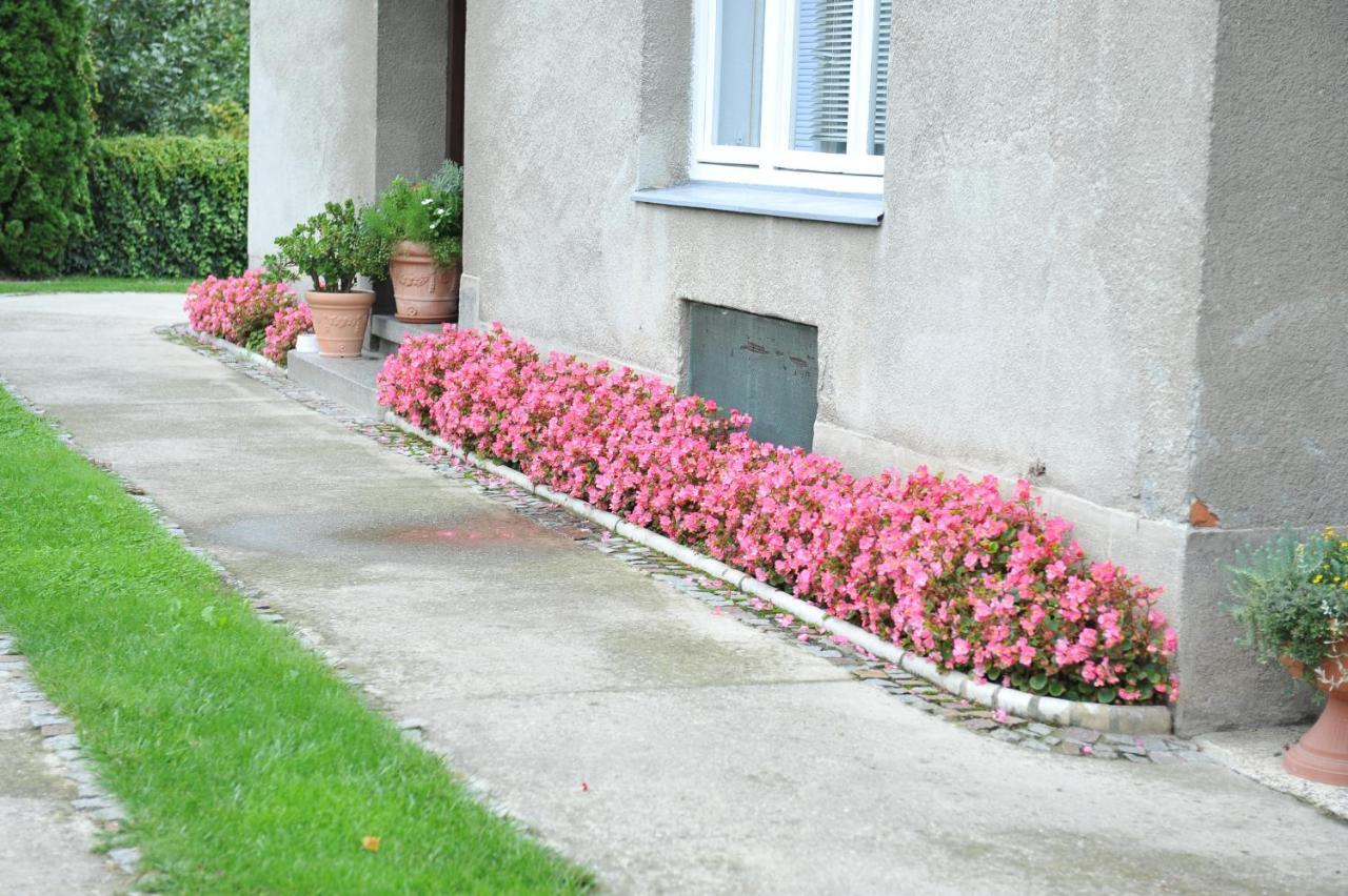 Studio Apartman D&D Varaždin Exterior foto